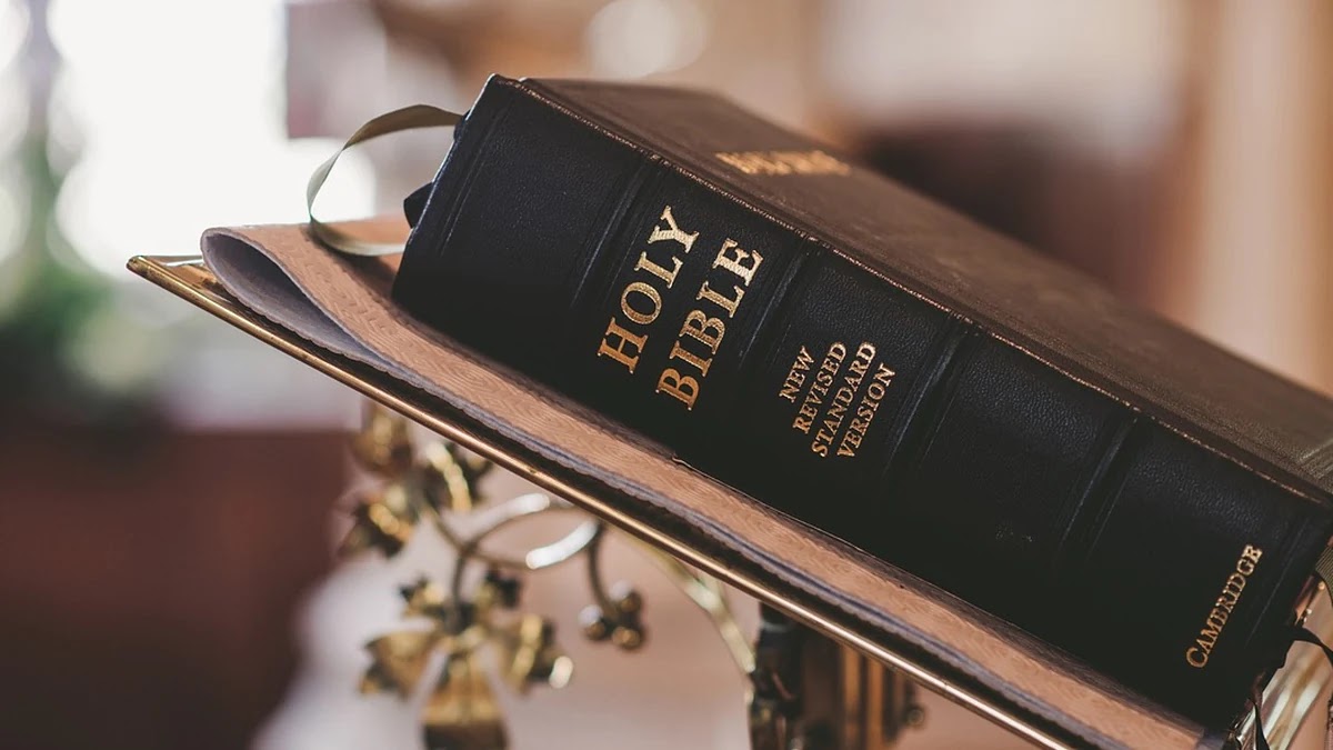 이동평균선 골든크로스와 데드크로스 적용 사례 비교