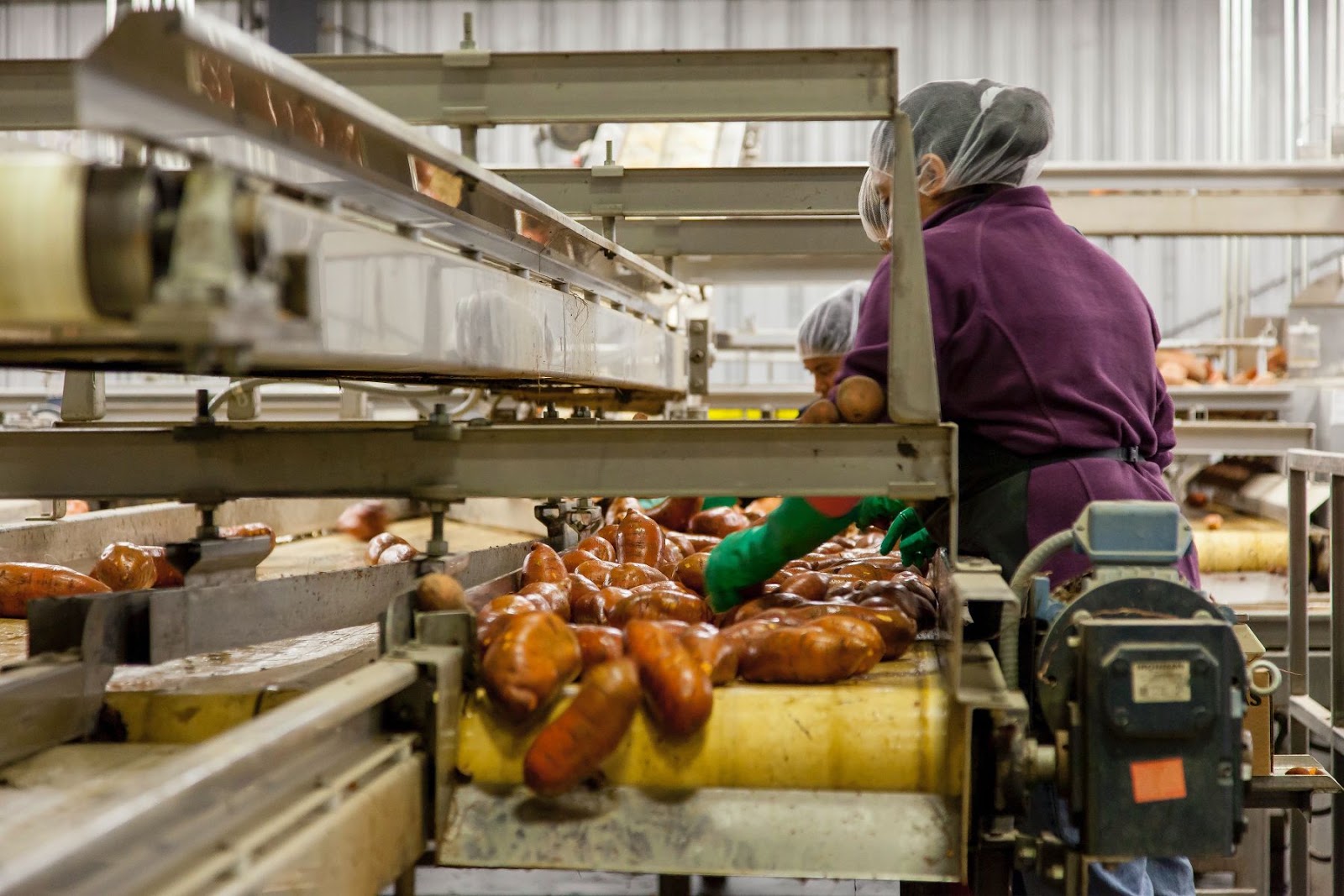 Suction Lifting Devices, An Essential Tool In The Food Industry