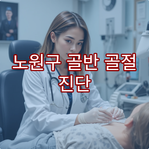 노원구 골반 골절 진단 수술 가능한 병원 리스트