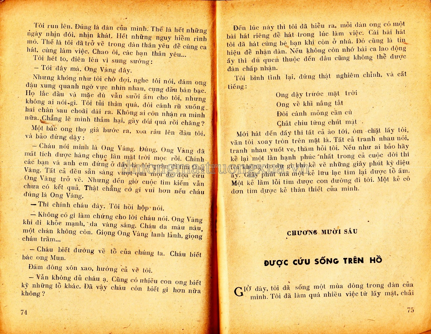 Cuộc phiêu lưu kì lạ của ong vàng (1981) - Trang 37