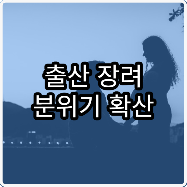 출산 장려 분위기 확산 대구 북구 다둥이 차량렌탈 서비스
