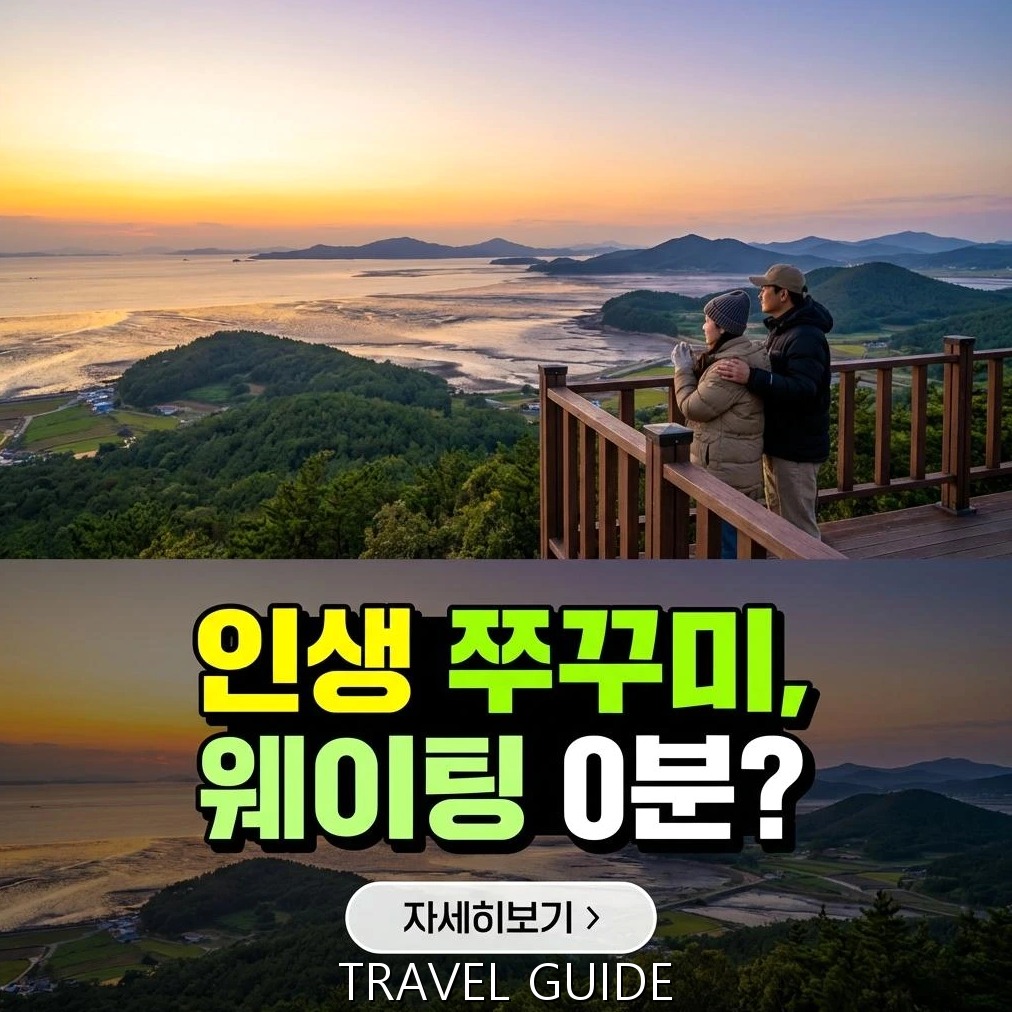 2026 서천 동백꽃 주꾸미 축제: 행사 개요, 프로그램 및 방문 가이드