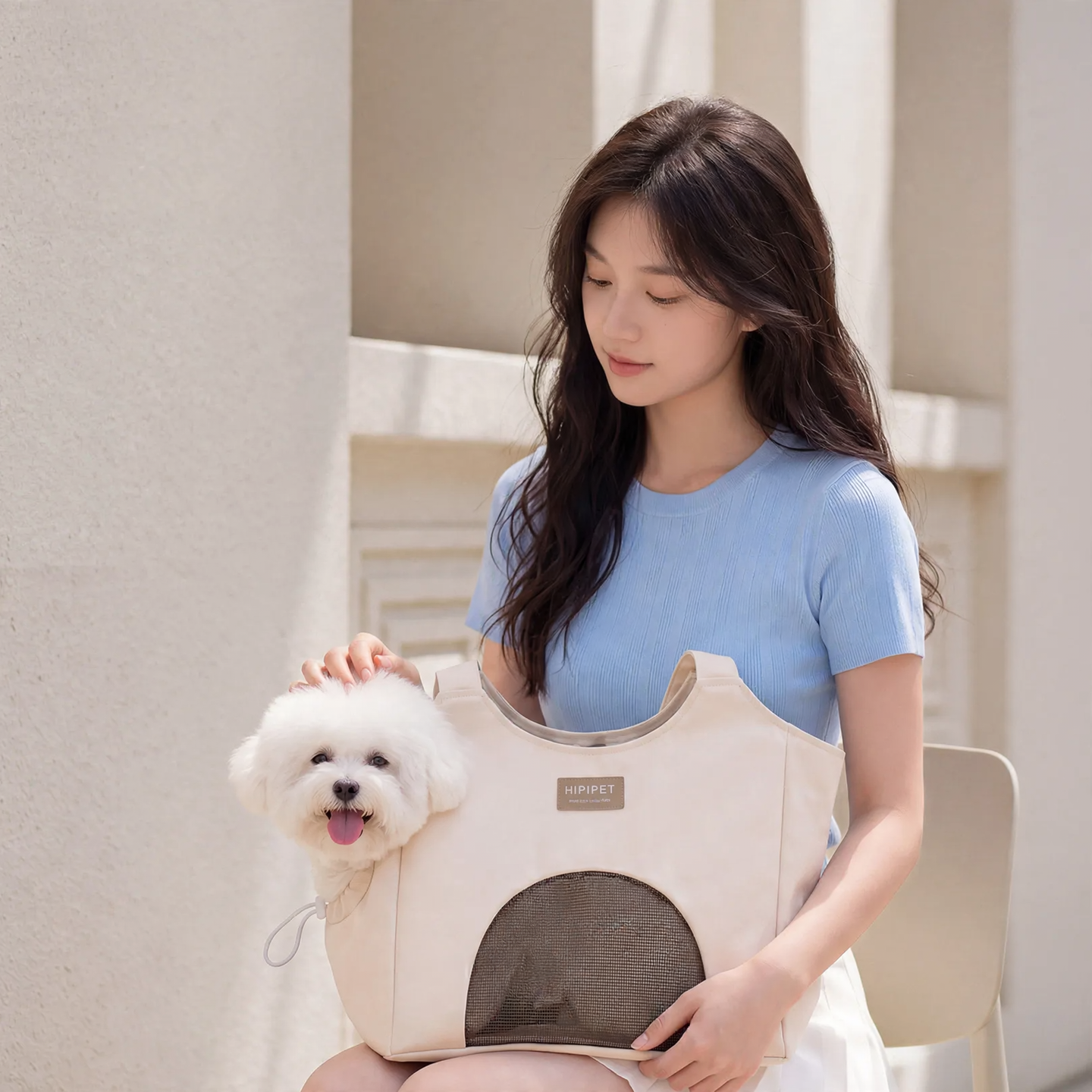 Breathable Canvas Pet Handbag