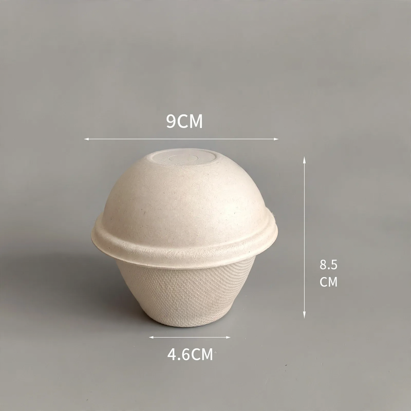 Disposable paper container, biodegradable