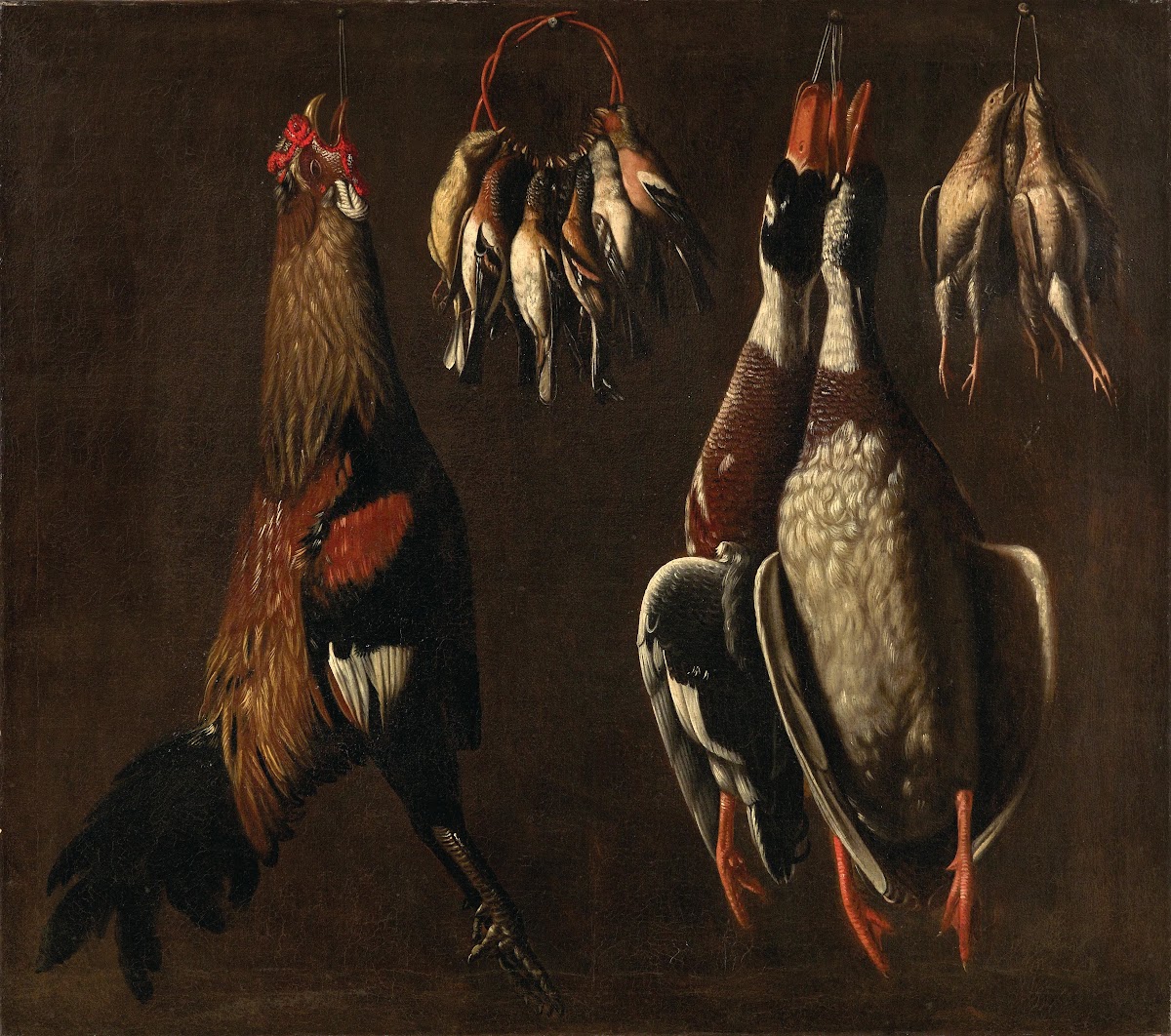 Still life of birds