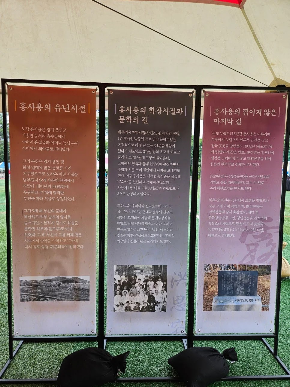 네이버 블로그 사진