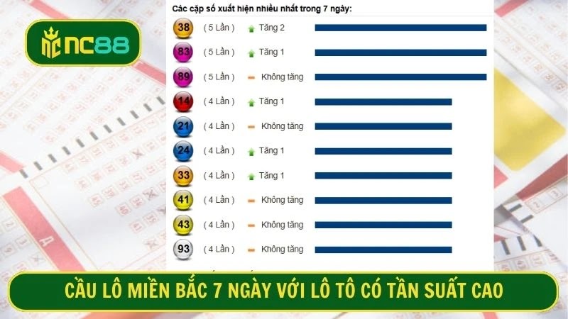 Cầu lô miền Bắc 7 ngày với lô tô có tần suất cao