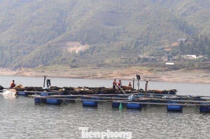 Giải cứu hồ Séo Mý Tỷ ở Lào Cai - Báo Tiền Phong