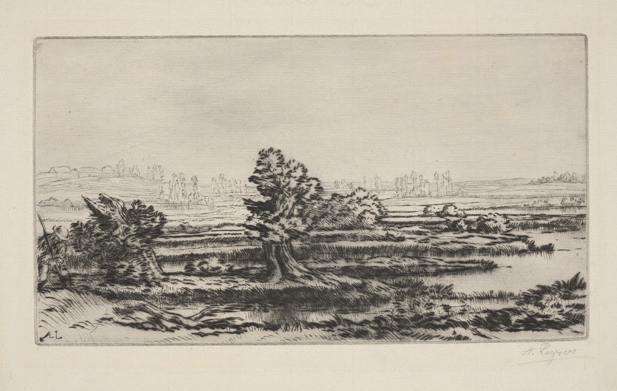 Peat bogs