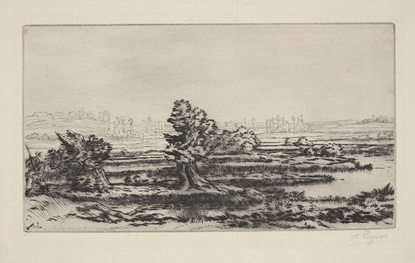 Peat bogs