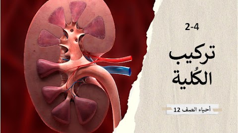 ملخص درس تركيب الكلية - أحياء الصف 12 الفصل 1
