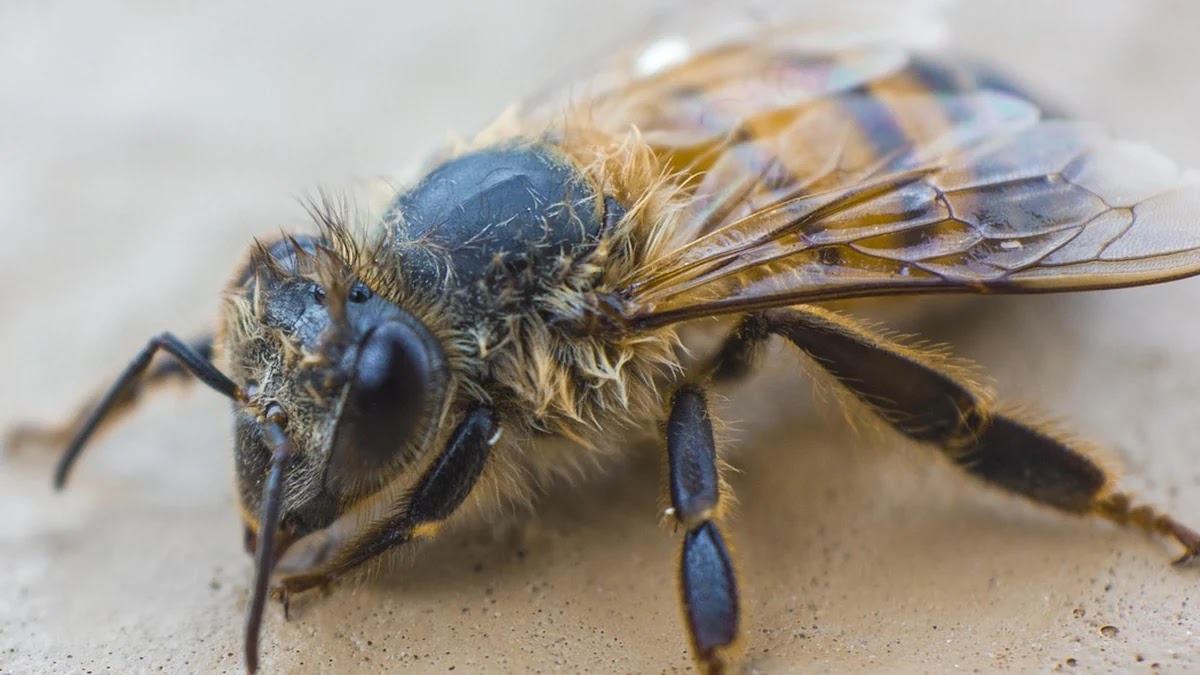 API 인증 방식별 원리와 적용 방법 비교