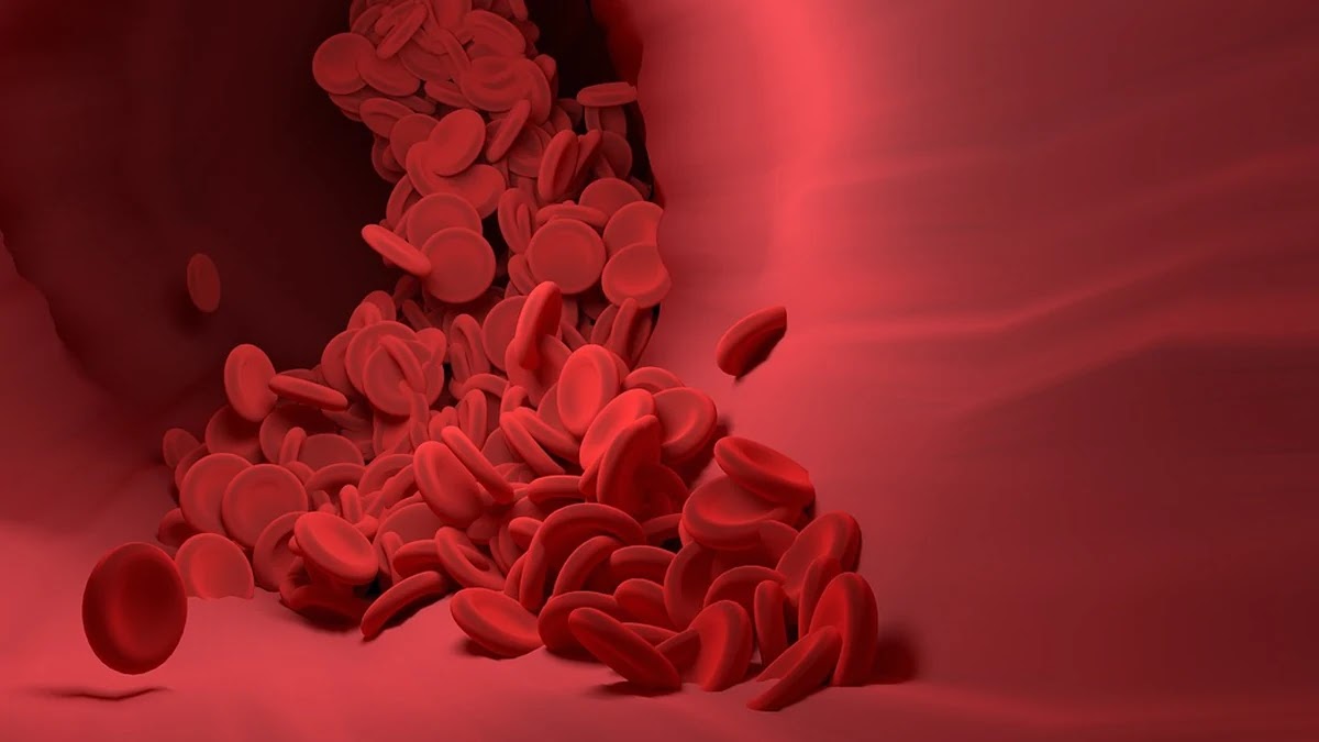 과학이라는 개념이 시대별로 확장된 과정과 의미 변화