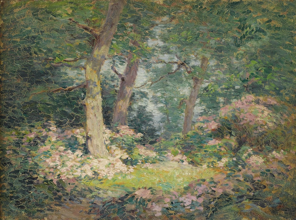 Mountain Laurel 1903
