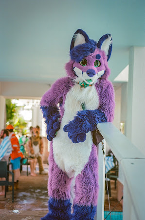 furdu-7 (1).jpg