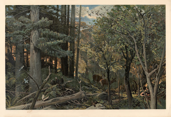From the Allegheny Mountains 1920