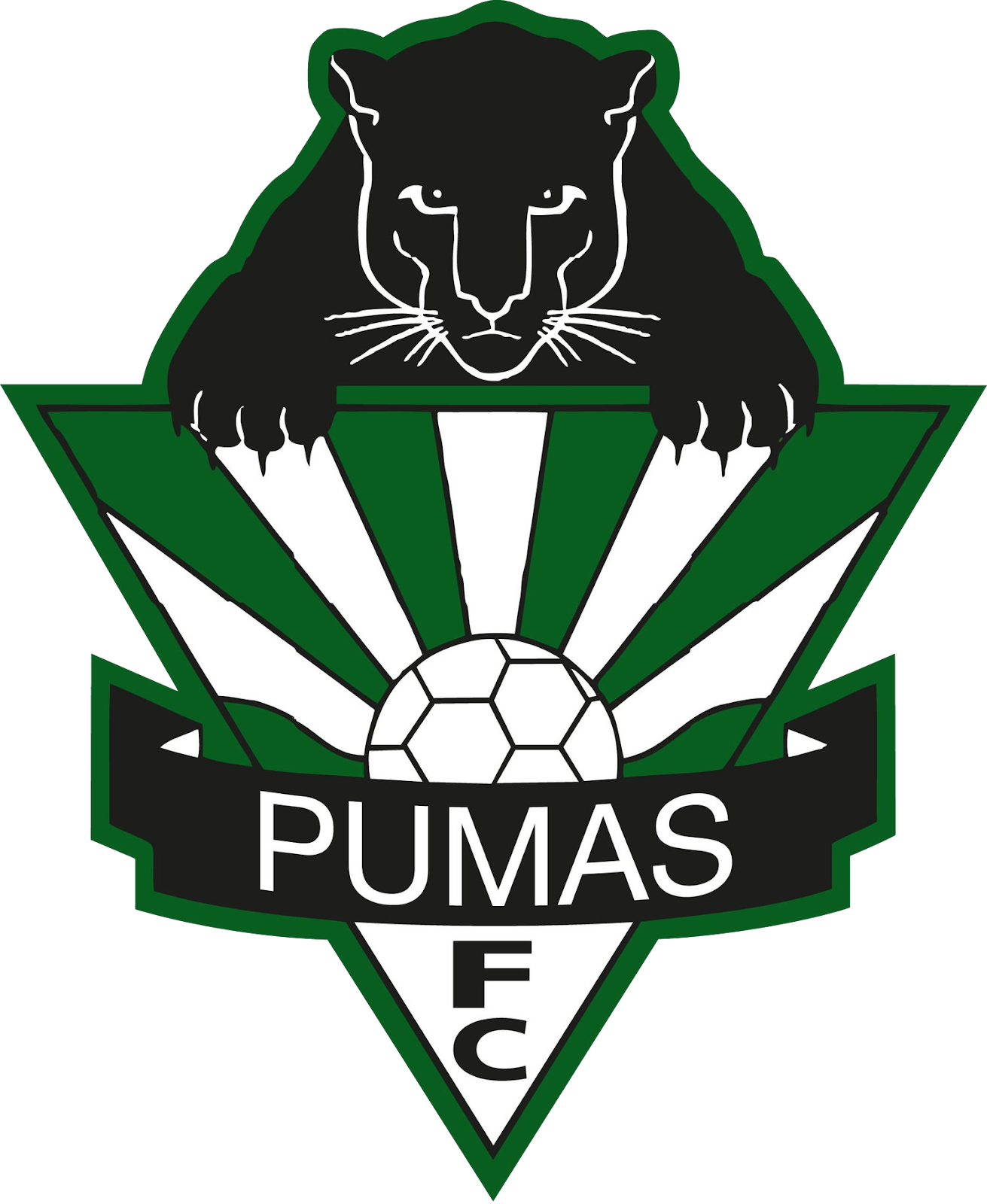 Hills Pumas logo