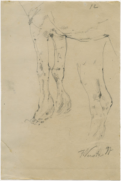 Cows paws 1877