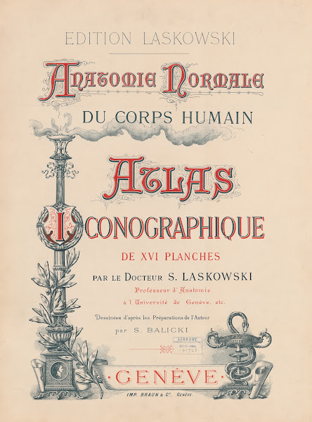 Anatomie normale du corps humain Pl01 1894