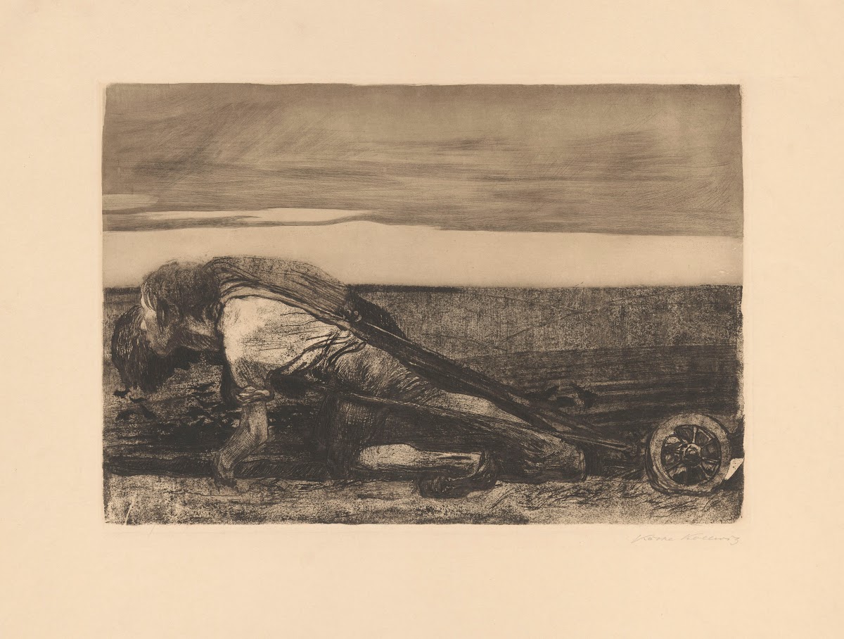 Die Pflüger 1907