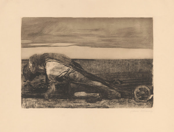 Die Pflüger 1907