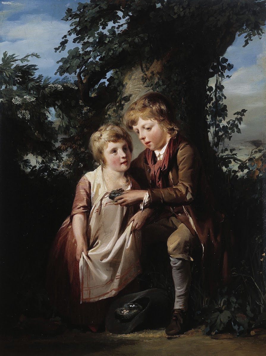 Les DéNicheurs 1800