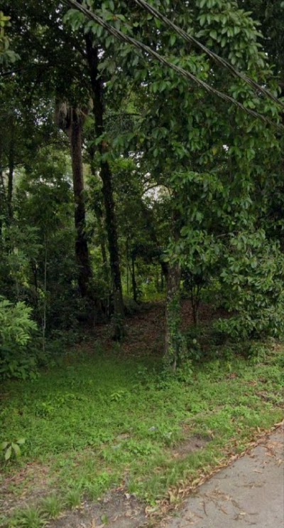 Tanah 4.62 Ekar Kuala Kubu Baru (Dusun / Tahfiz) — foto 3/6