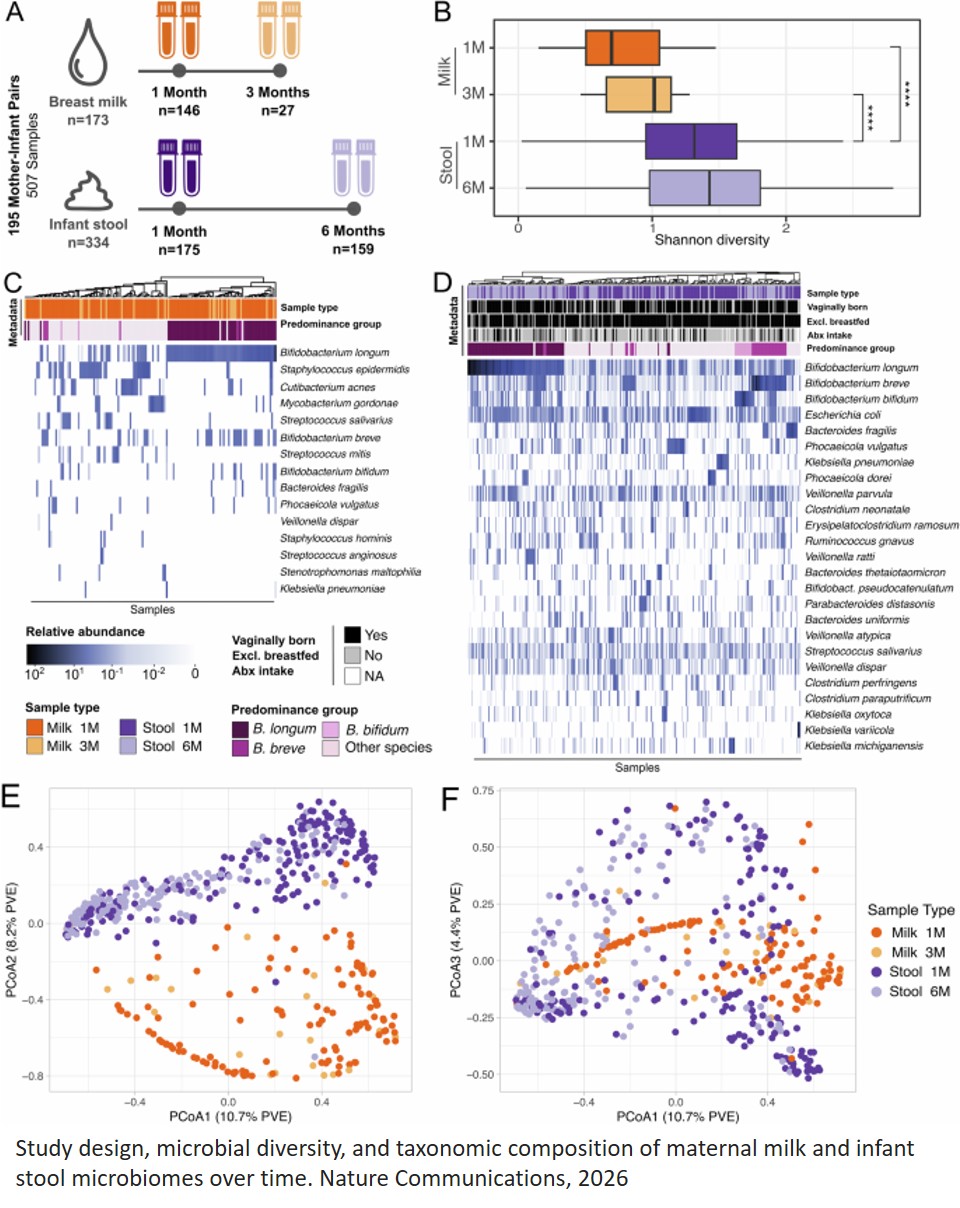 Assembly of the infant gut microbiome and resistome are linked to bacterial strains in mother’s milk