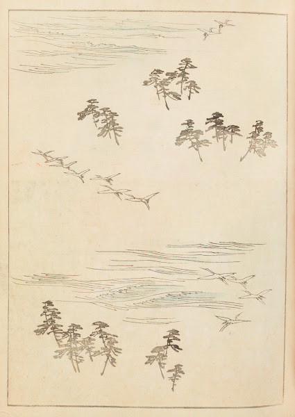 Shin Bijutsukai Pl077 1901 1902
