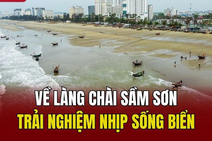 Về làng chài Sầm Sơn, trải nghiệm nhịp sống biển - Báo Thanh Hóa