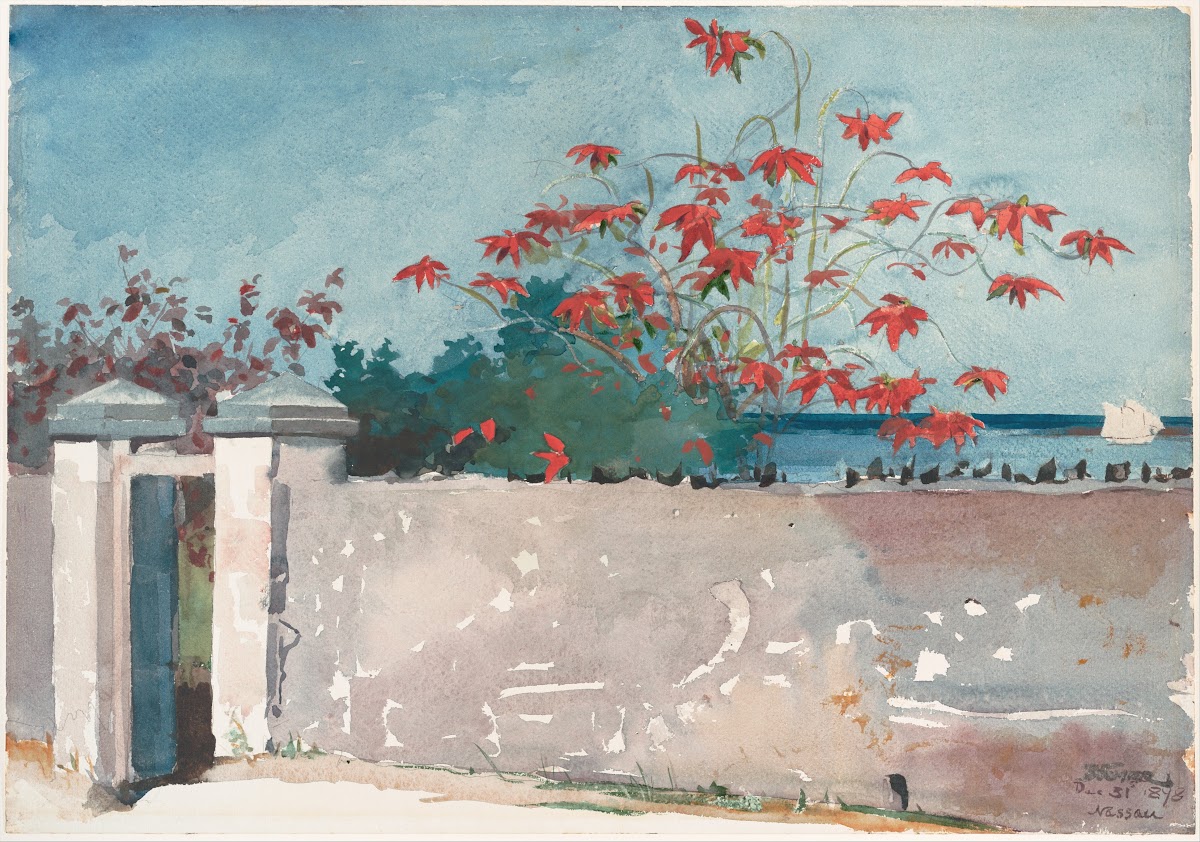 A Wall Nassau 1898