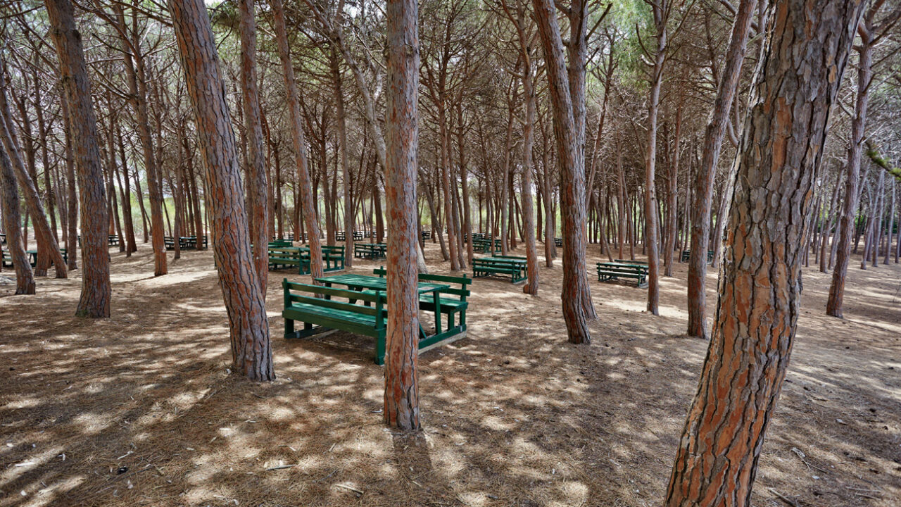 Riserva Naturale di Randello