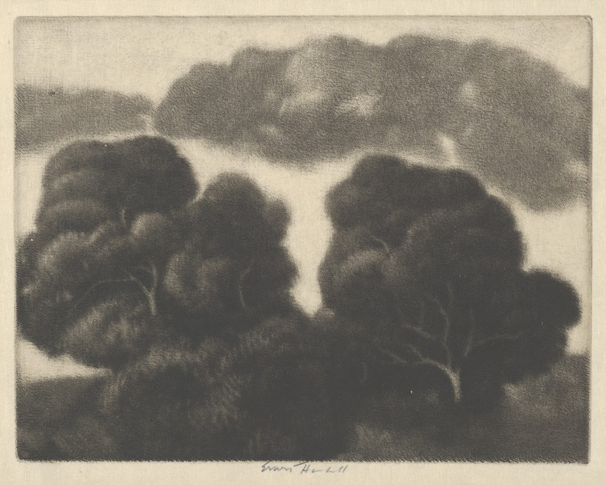 Hill of Oaks 1900 1920