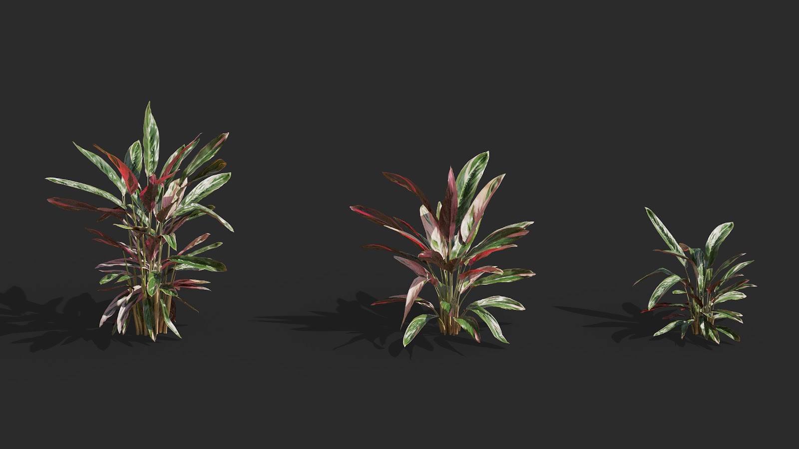 Maxtree - Plant Models Vol.62