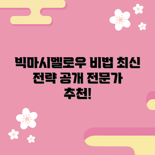 빅마시멜로우 정보, 초보자 가이드, 전문가 전략, 최신 트렌드, 투자 팁