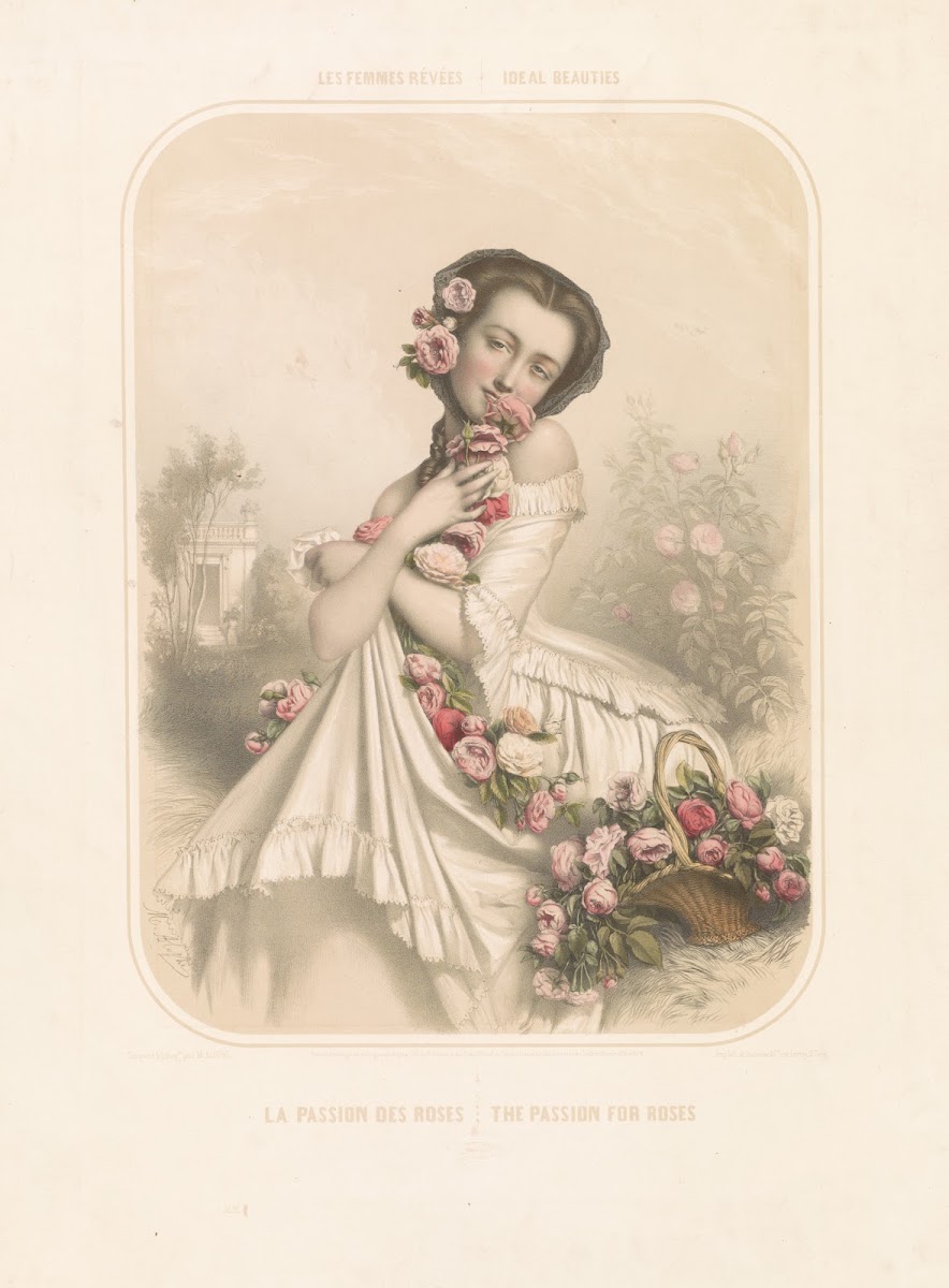 Potter 1904