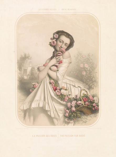 Potter 1904