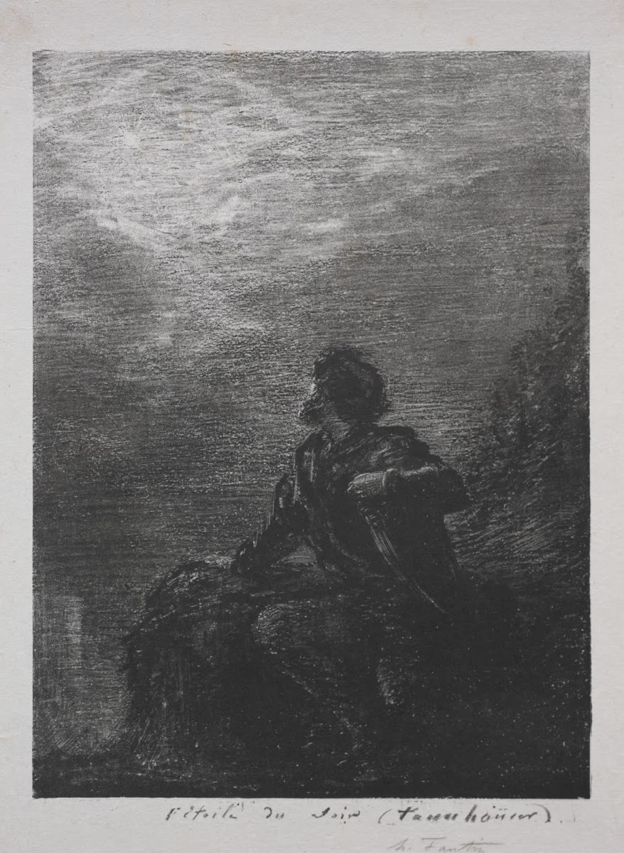 The Evening Star 1877
