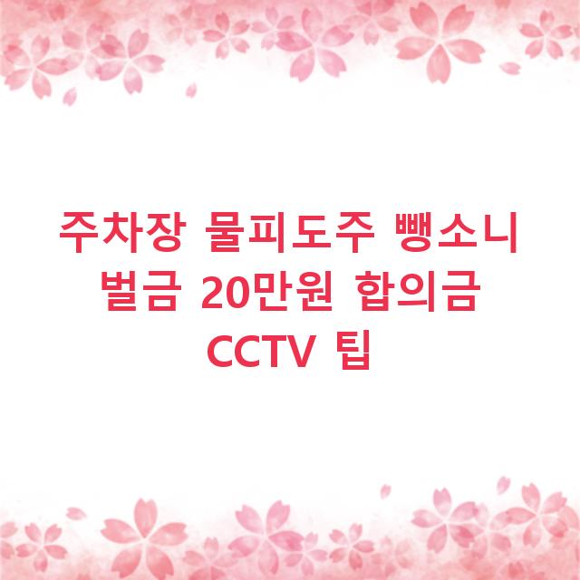 주차장 물피도주 뺑소니 벌금 20만원 합의금 CCTV 팁