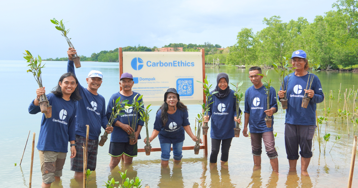CarbonEthics restores mangroves with local communities