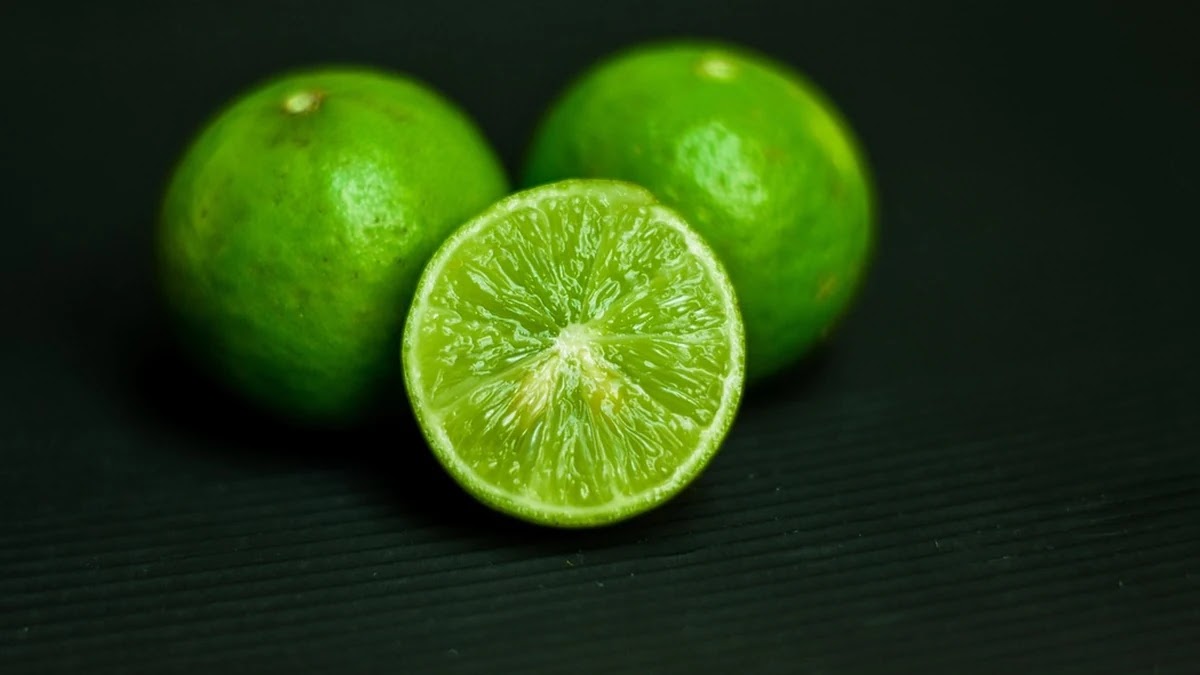 유산균과 프로바이오틱스 차이, 장 건강에 좋은 선택법