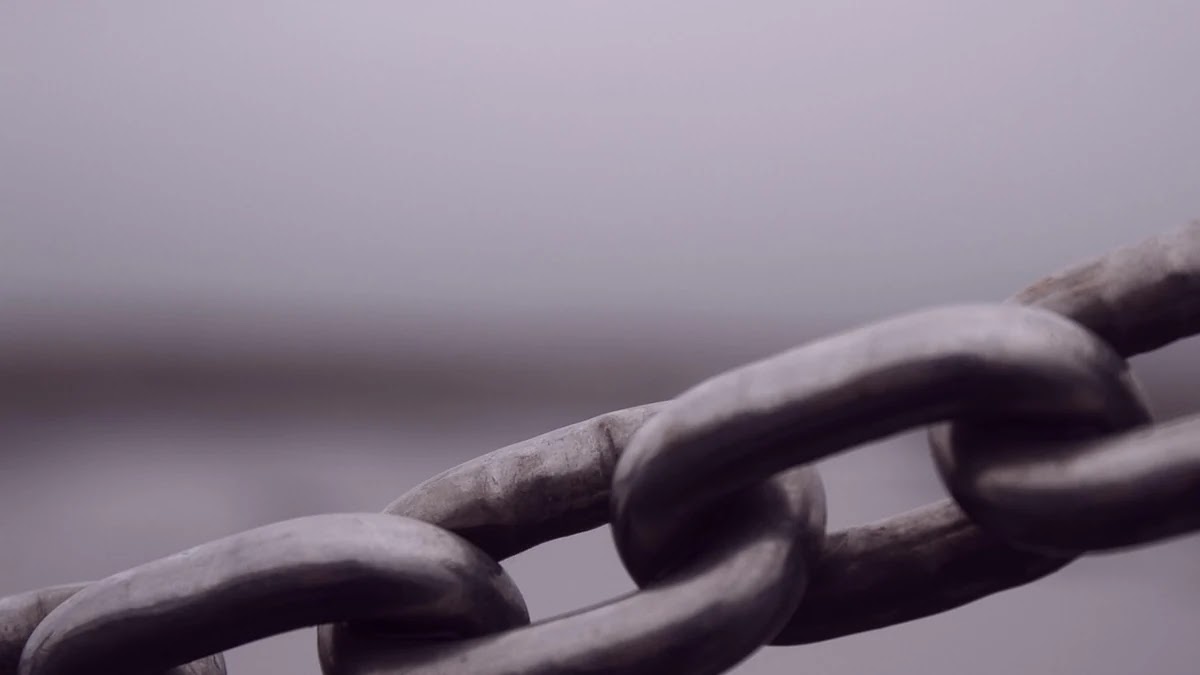 멤버십 포인트 적립률 높이는 활용법과 카드 연동 기준