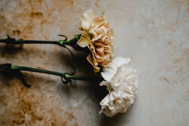 Bật Mí Các Loài Hoa Tượng Trưng Cho Đàn Ông Theo Tính Cách