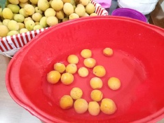Sau đó, bạn đem mơ đi rửa sạch dưới vòi nước, rửa sạch mơ, sau đó hòa 50gr muối hột với nước rồi cho mơ vào ngâm khoảng 1h sau đó vớt ra để trong rổ cho thật ráo nước. Nếu muốn nhanh được ăn, bạn có thể lấy tăm khều bỏ phần cuống mơ giúp trái mơ nhanh tiết ra nước chua.