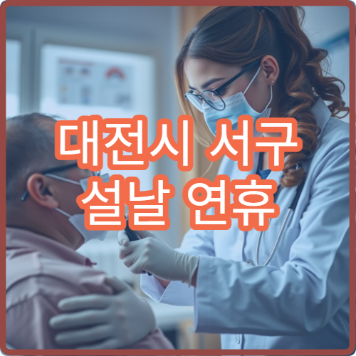 대전시 서구 설날 연휴 응급의학과 진료 병원 이용 가이드