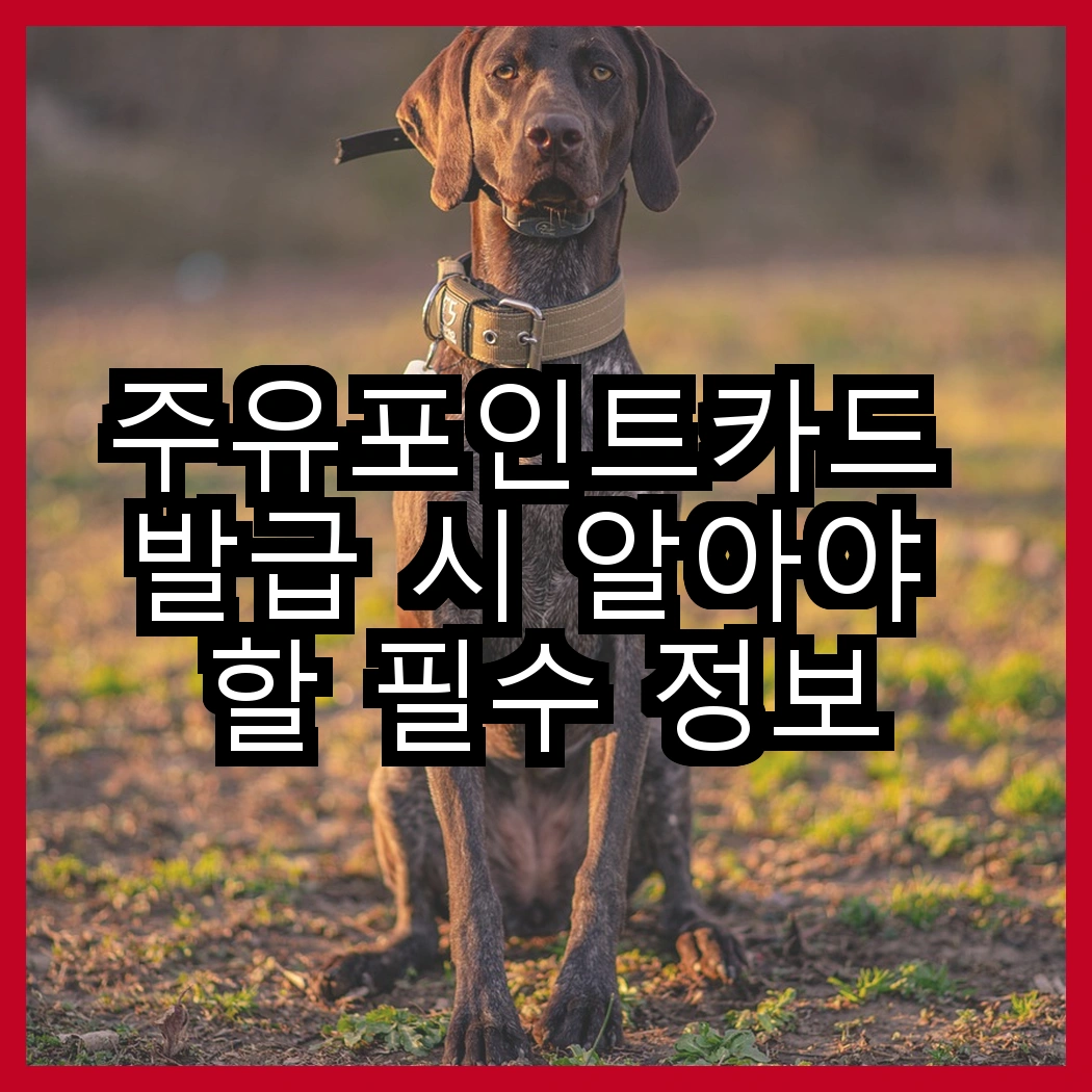 주유포인트카드 발급 시 알아야 할 필수 정보 썸네일