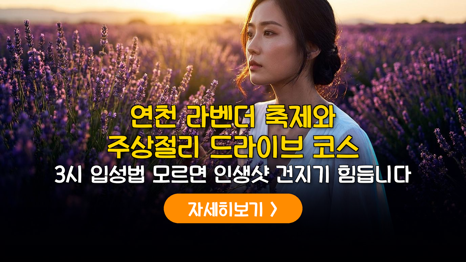6월 연천 라벤더 축제와 주상절리 드라이브 완벽 코스