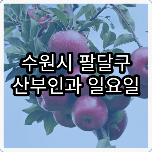 수원시 팔달구 산부인과 일요일 진료 병원 여성건강 진료 가능한 병원 안내