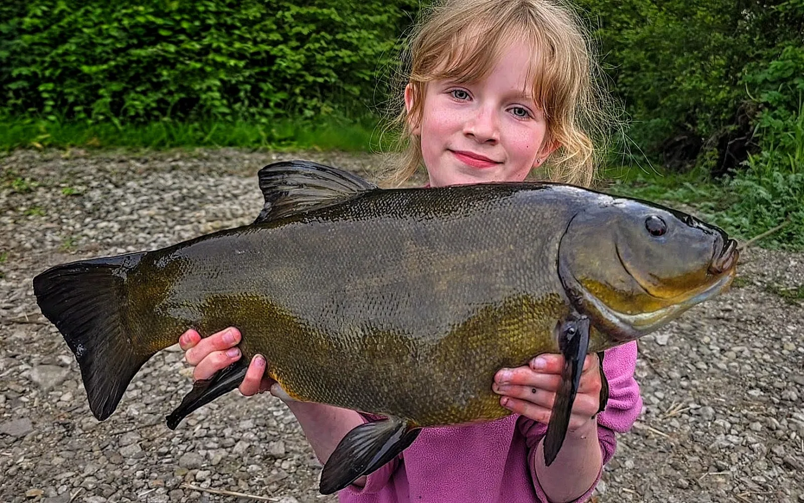 Emily Boucher - Tench