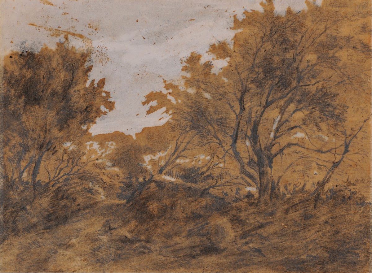 Paysage boisé coup de vent before 1868